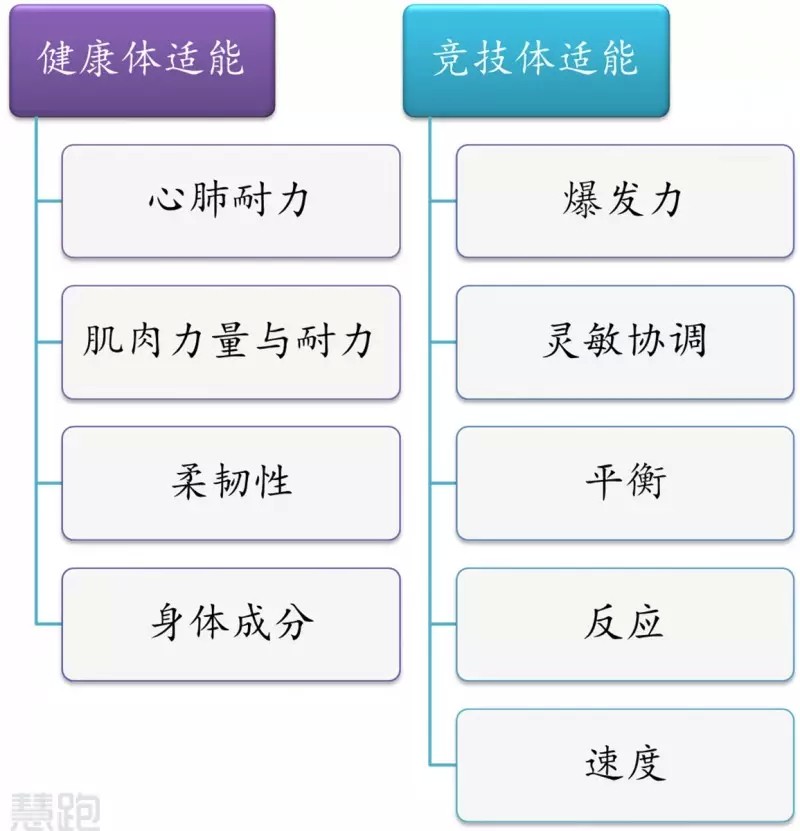 如何设计自己的篮球模拟训练计划_0