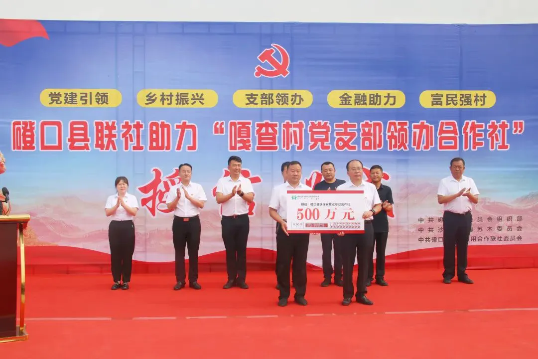 职业篮球教练如何制定有效的赛制训练计划?_2